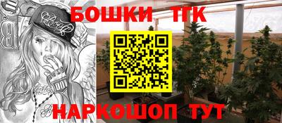 стафф Славгород