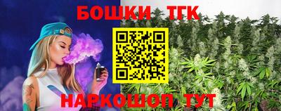 сатива Сланцы