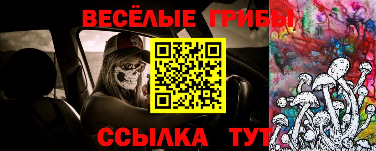 Галлюциногенные грибы мицелий Нижний Тагил