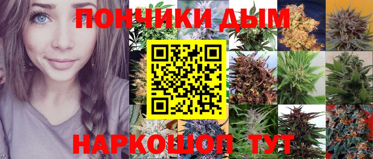 Шишки марихуана марихуана  МАРИХУАНА семена  Вход с VPN  Нижний Тагил  МАРИХУАНА Bruce Banner 
